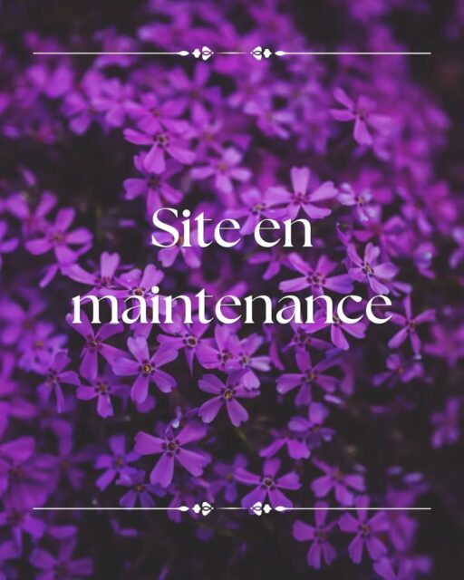 Mon site va être en maintenance à partir de cette nuit. Je dois le refaire entièrement, donc ça va prendre un peu de temps. Je vais essayer de faire catégorie par catégorie comme ça, je pourrais le réouvrir même s'il n'est pas encore complet.Merci pour votre compréhension.#larpcostume #costume #larp #handmadecostume #fantasycostume