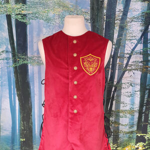 Odin : Gilet homme fantasy animal brodé